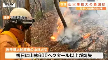 なぜここまで延焼が拡大?平成以降最悪の被害となった岩手県の大規模山林火災特徴は「燃え広がるスピード」専門家への取材で見えたこととは