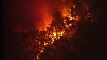警戒】焼失面積ヘクタール超えるも火の勢い衰えず…岩手・大船渡市の山火事から日目人に避難指示・人が避難生活