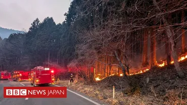 岩手・大船渡で山林火災、人以上が避難延焼続く