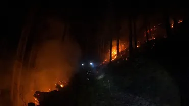 岩手・大船渡山林火災急斜面、広がる炎格闘県派遣消防隊が見た怖さ/福島