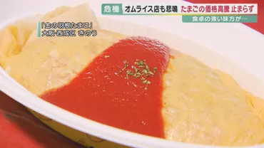高騰続き「たまごクライシス」もう「物価の優等生」と呼べないたまご価格゛倍゛にオムライス店は悲鳴専門家「このまま高止まり可能性も」背景に゛鳥インフルエンザ゛と゛ウクライナ侵攻゛
