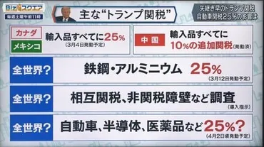 トランプ大統領自動車関税程度との見通し示す矢継ぎ早の関税政策の狙いとは【スクエア】