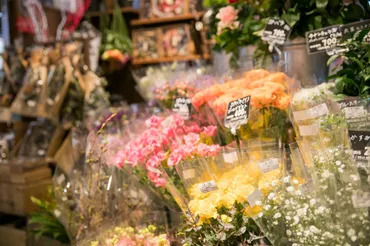 未経験向け】花屋を開業するのに必要な資格・資金とは