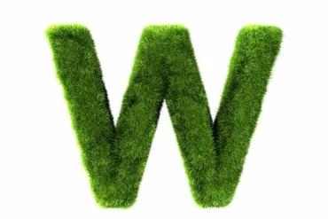 草」とはどういう意味?ネットでの使われ方や「w」との違いを紹介