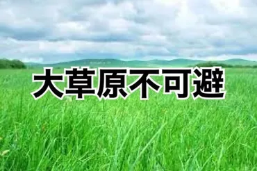 草生える」の意味や元ネタは?最上級や進化系も解説