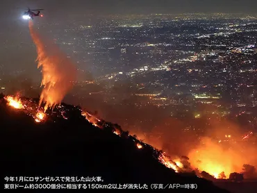 地球温暖化で世界的に山火事が多発森林火事リスクは年までに増か(年月日)