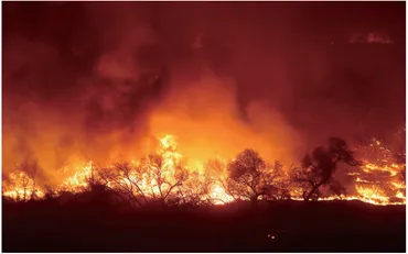 地球温暖化の影響も?山火事の原因と山火事を予防するための対策を正しく知ろう–