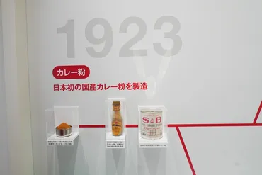 日本のカレー文化に貢献した年の歩み!商品開発への゛熱い想い゛を聞いてみた