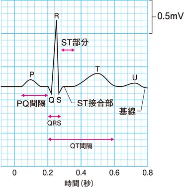 心電図波形の名称と意味~幅と高さ