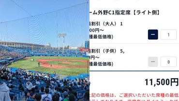 外野席でも万円超〉高額化が止まらないプロ野球チケット…球団は収益アップもライト層からは悲鳴があがる「ダイナミックプライシング」の功罪(集英社オンライン)