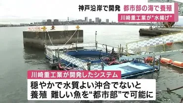 都市部の港で魚を養殖川崎重工が開発約匹のトラウトサーモンの飼育に成功年後の商用化目指す
