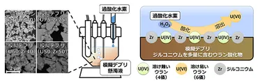 被覆材が混ざった核燃料は水に溶けにくくなる〜燃料デブリの炉内安定性に係る新たな知見〜