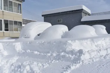 北海道の気候と帯広の記録的大雪、今後の見通しは？記録的大雪、桜の開花、そして気候変動