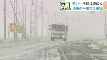 雪は飽きたのでもう降らないで」日午後時で上士幌町糠平㎝、帯広空港㎝北海道オホーツク海側の多い所で日正午までの時間に㎝降雪予想(北海道放送ニュース)