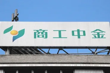 商工中金の完全民営化で調整政府保有の株式売却、危機対応融資は継続:ニュース:中日ナビ