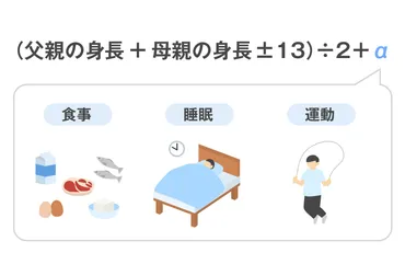 身長が遺伝だけで決まらない理由と最大限伸ばすために必要なこと