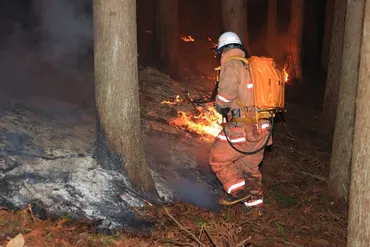 解説>岩手・大船渡の山火事はなぜ起きた?日本と海外の出火原因で「決定的に違うこと」((ウェッジ))