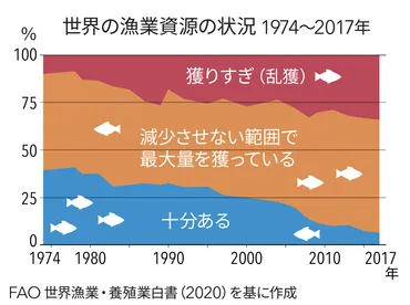 持続可能な漁業ってなに?世界と日本の海の現状—