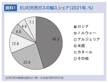 内外経済ウォッチ『欧州～エネルギー供給のロシア依存見直しと課題～』年月号