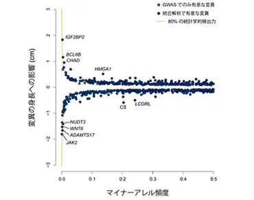 日本人の身長は遺伝子で決まる？ゲノム解析で判明した身長関連遺伝子とは？日本人19万人を対象としたゲノム解析で、身長に関わる573個の遺伝的変異を発見！