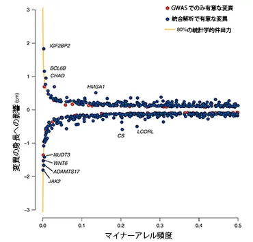 日本人の身長に関わる遺伝的特徴を解明