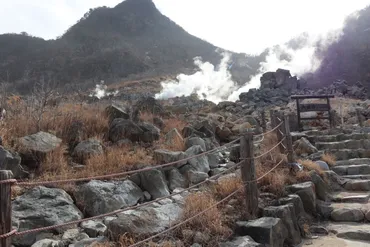 大涌谷 黒たまご観光ガイド：寿命が延びる？箱根の魅力を徹底解説！(？)黒たまごの秘密と大涌谷観光の楽しみ方