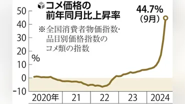 コメの食料安保再点検を品薄解消でも高騰続く読売新聞
