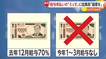 カ月分給与未払いの「ミュゼプラチナム」元従業員が涙ながら訴え…東京地裁に運営会社の破産申立て脱毛サロン業界の倒産相次ぐプライムオンライン