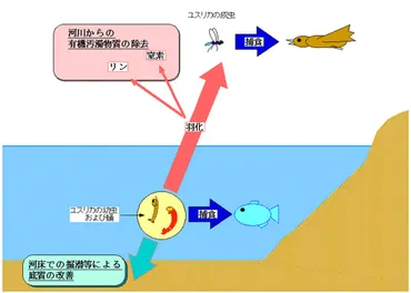 ユスリカとは