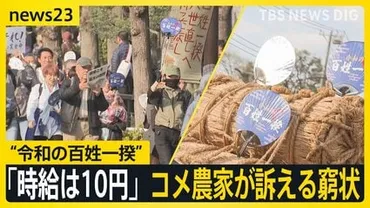 コメ価格高騰はなぜ？ 備蓄米放出で価格は下がる？（米、価格、流通）？2025年コメ価格高騰の背景と備蓄米放出の混乱