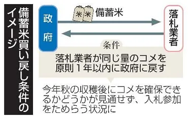 政府、備蓄米流通拡大へ入札緩和買い戻し期限で延長案:東京新聞デジタル