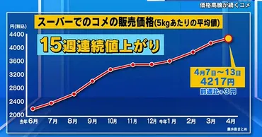 備蓄米はどこへ?店頭に並び始めるも…米の値段は下がらず流通したのは放出全体のわずか0.3%