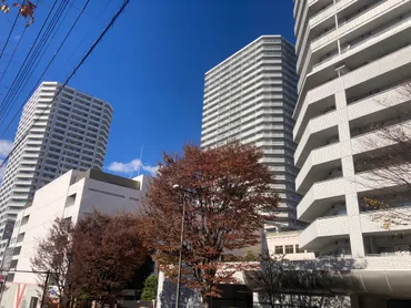タワマン投資バブル、外国人富裕層の動向と将来性？外国人所有マンションの現状と課題