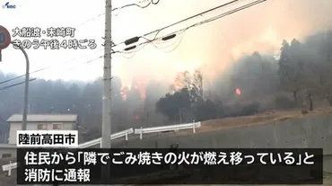 日に発生した山林火災日正午鎮圧二つの市に出されていた避難指示も全て解除岩手・陸前高田市、大船渡市