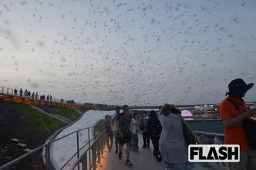 空が黒く染まった!】大阪万博ユスリカ大量発生を徹底検証…根本原因は鳥が消えた゛環境破壊゛年前の警告が現実に