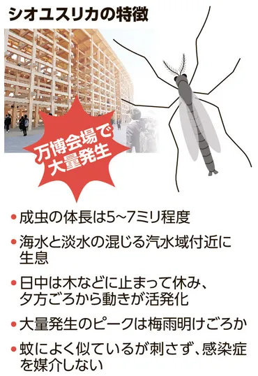 止まらない万博のユスリカ大量発生薬剤は悪影響も…対策のカギは大阪府大阪・関西万博リングミャクミャク：朝日新聞