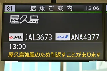 国内航空路線の課題と構造改革？JALとANAの現状と今後の展望国内航空の構造改革：JALとANA、羽田空港発着枠、安全管理体制