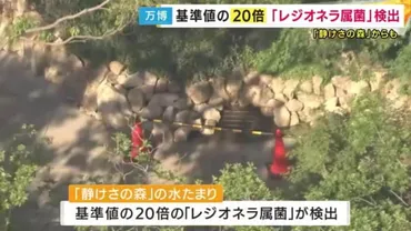 静けさの森」の水たまりから基準値約倍のレジオネラ属菌が検出感染すると肺炎発症も【万博】