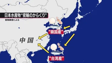 処理水放出問題の行方：中国の反発と日本への影響は？（最新情報）福島第一原発処理水の海洋放出を巡る日中の対立と、水産物への影響