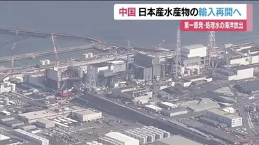日本産水産物の輸入再開に向けた手続きで中国と合意対中輸出再開へ処理水放出による賠償は億円