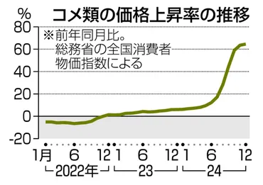米騒動の真相？価格高騰の背景と政府の対応を徹底解説！(米、価格高騰？)令和の米騒動：価格高騰の要因と政府の対策