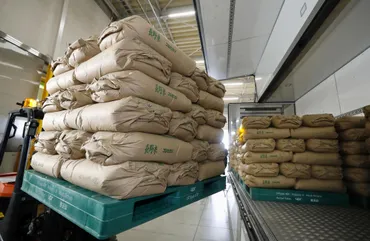 政府備蓄米の放出開始、価格注目 倉庫から搬出、下旬にも店頭へ(共同通信)