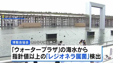 万博ウォータープラザの海水から「レジオネラ属菌」検出 水上ショー中止