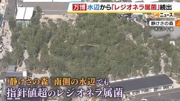 万博】レジオネラ属菌 先月「静けさの森」でも検出されていた 30日朝から利用を停止「公表を遅らせた意図ない。現時点で危険性が生じているわけではない」
