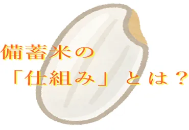 備蓄米の「仕組み」が丸わかり!疑問を解決します!