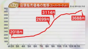 米の価格高騰受け…政府が備蓄米を放出へ 米穀店「価格が安定することが大事」生産者「資材や人件費も高騰」