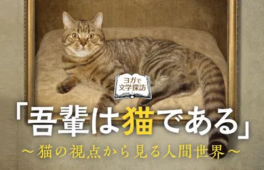 吾輩は猫である」~猫の視点から見る人間世界~