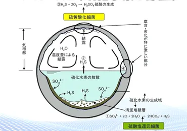 KANMAGA(株式会社カンツール公式ブログ): 下水道インフラ点検の知識:硫化水素腐食・道路陥没まとめ (50話)(下水道情報マガジン)