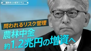 農林中央金庫、外債運用の失敗で巨額損失へ 約1.2兆円の増資の方針 リスク管理の確立が急務【播摩卓士の経済コラム】