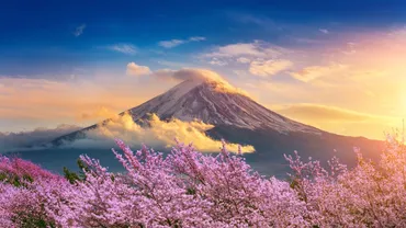 2025年桜開花予想は？開花時期やおすすめお花見スポットをご紹介！(桜、開花、予想？)2025年桜開花予想最新情報！東京・全国のおすすめお花見スポット